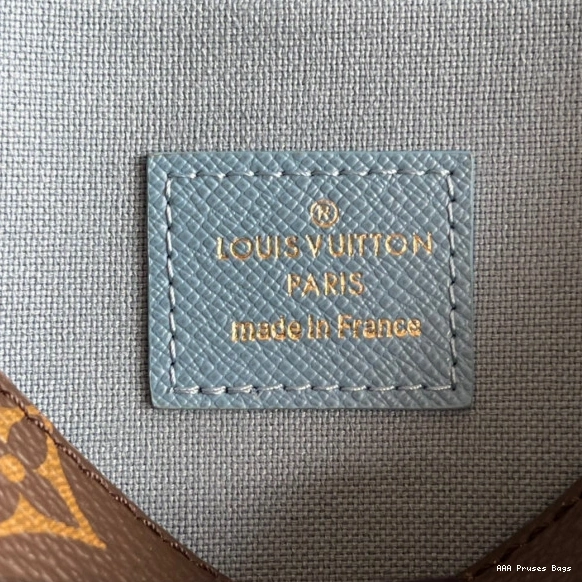 AAA Pruses Bags FÉLICIE VUITTON LOUIS POCHETTE 0803